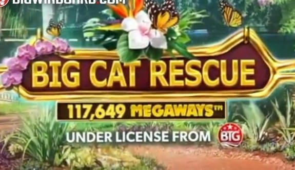 Big Cat Rescue Megaways